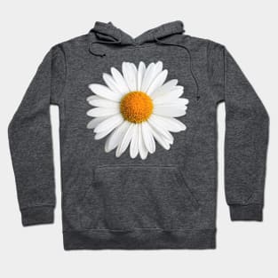 White Daisy Hoodie